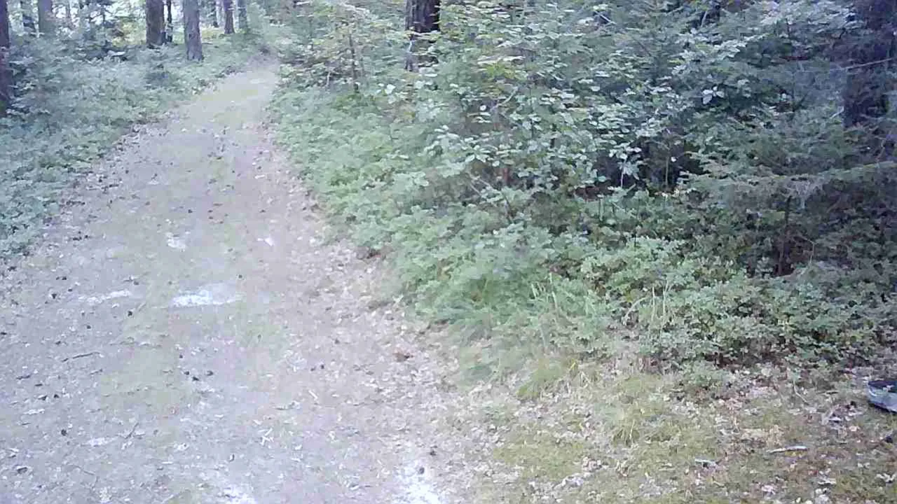 JPG_1755106239378.jpg