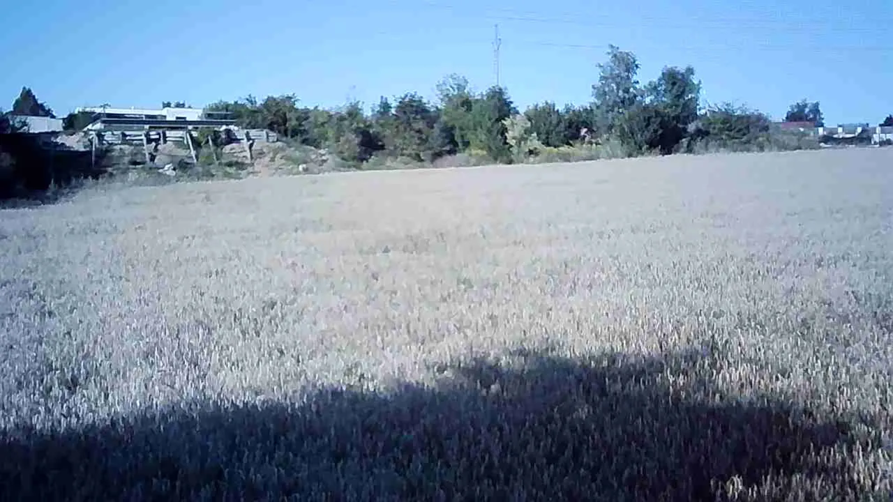 JPG_1754928596464.jpg