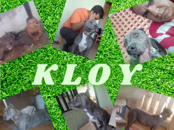 KLOY (1).png