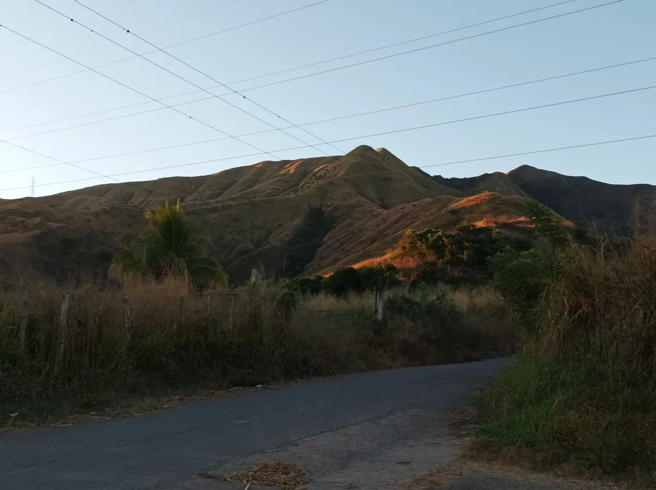 p07.jpg