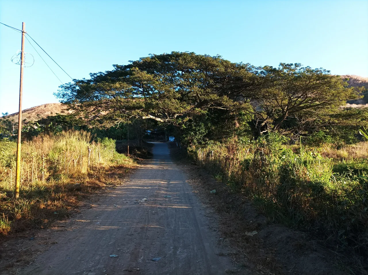 p19.jpg