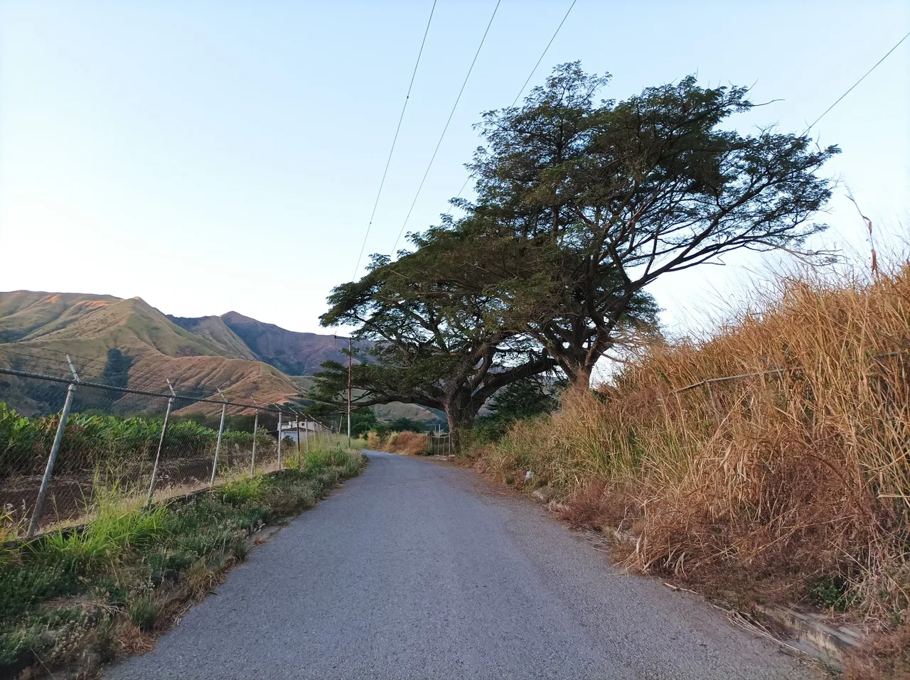 p05.jpg