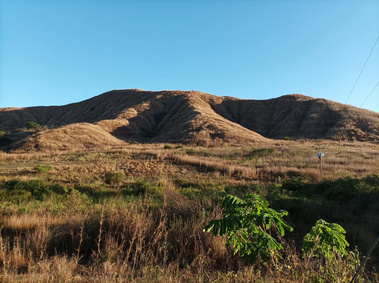 p20.jpg