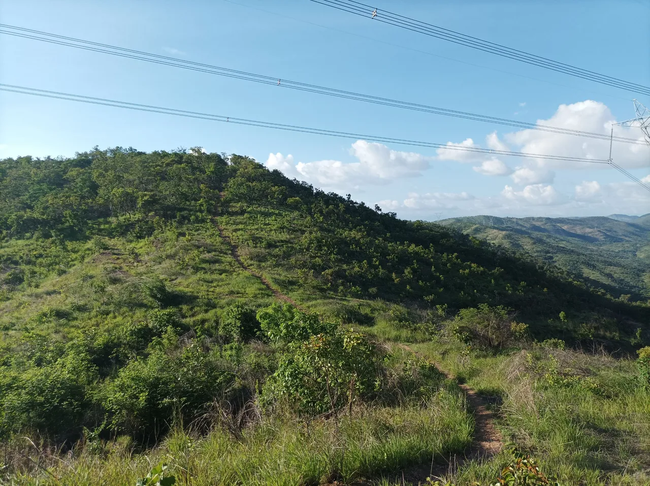 p06.jpg