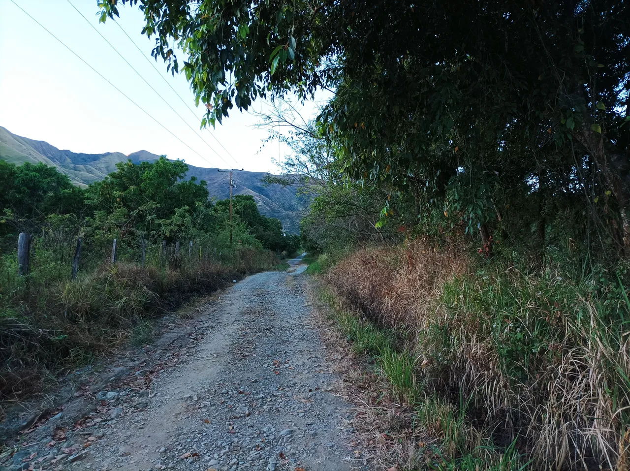 p14.jpg