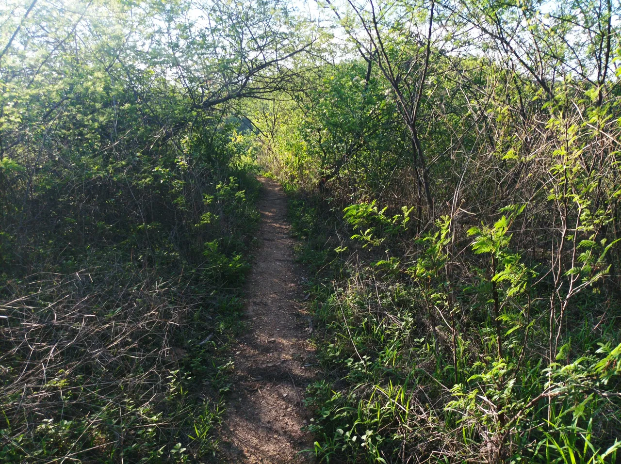 p05.jpg