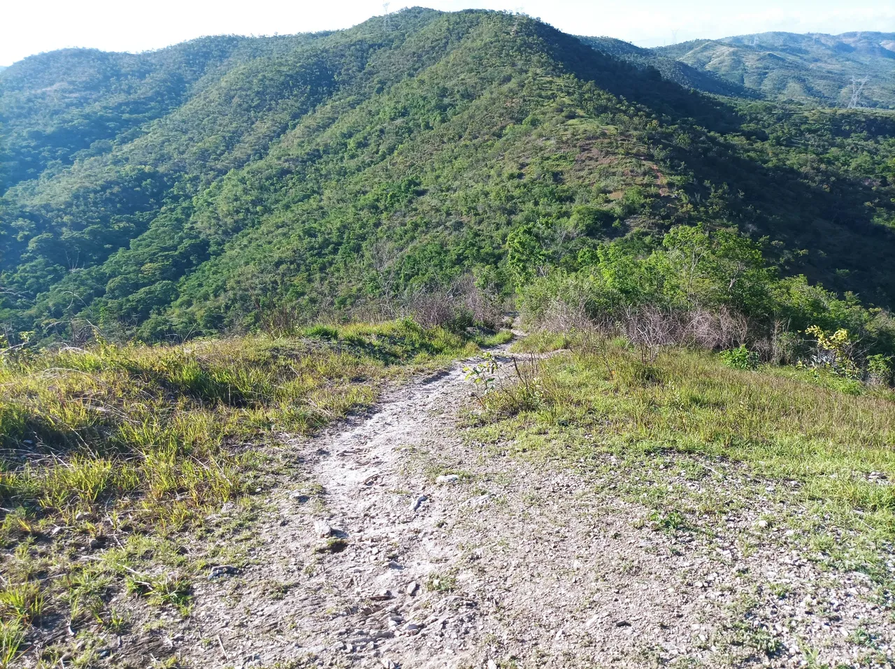 p02.jpg