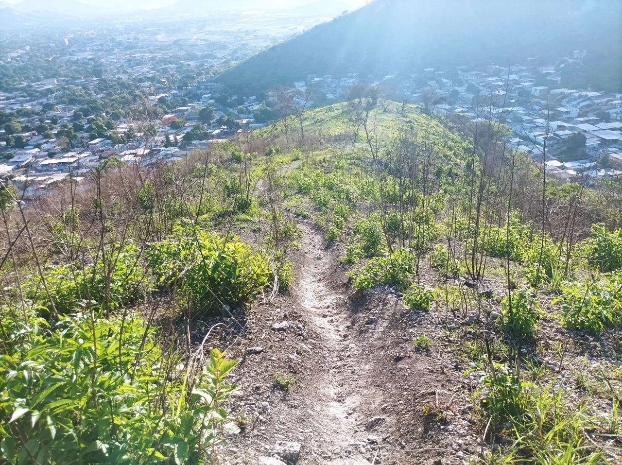 p08.jpg