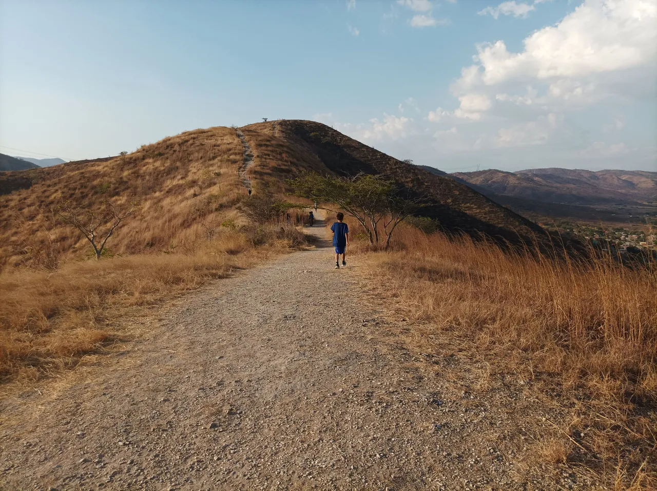 p06.jpg