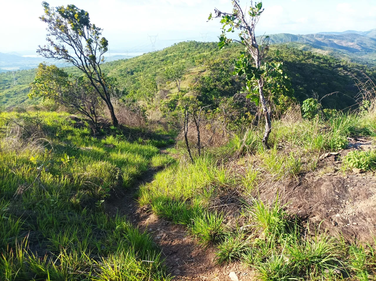 p07.jpg