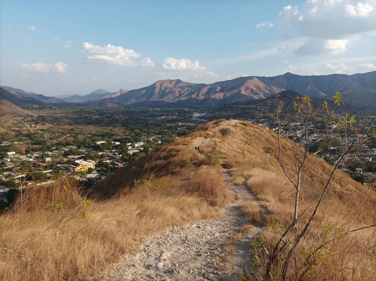 p07.jpg