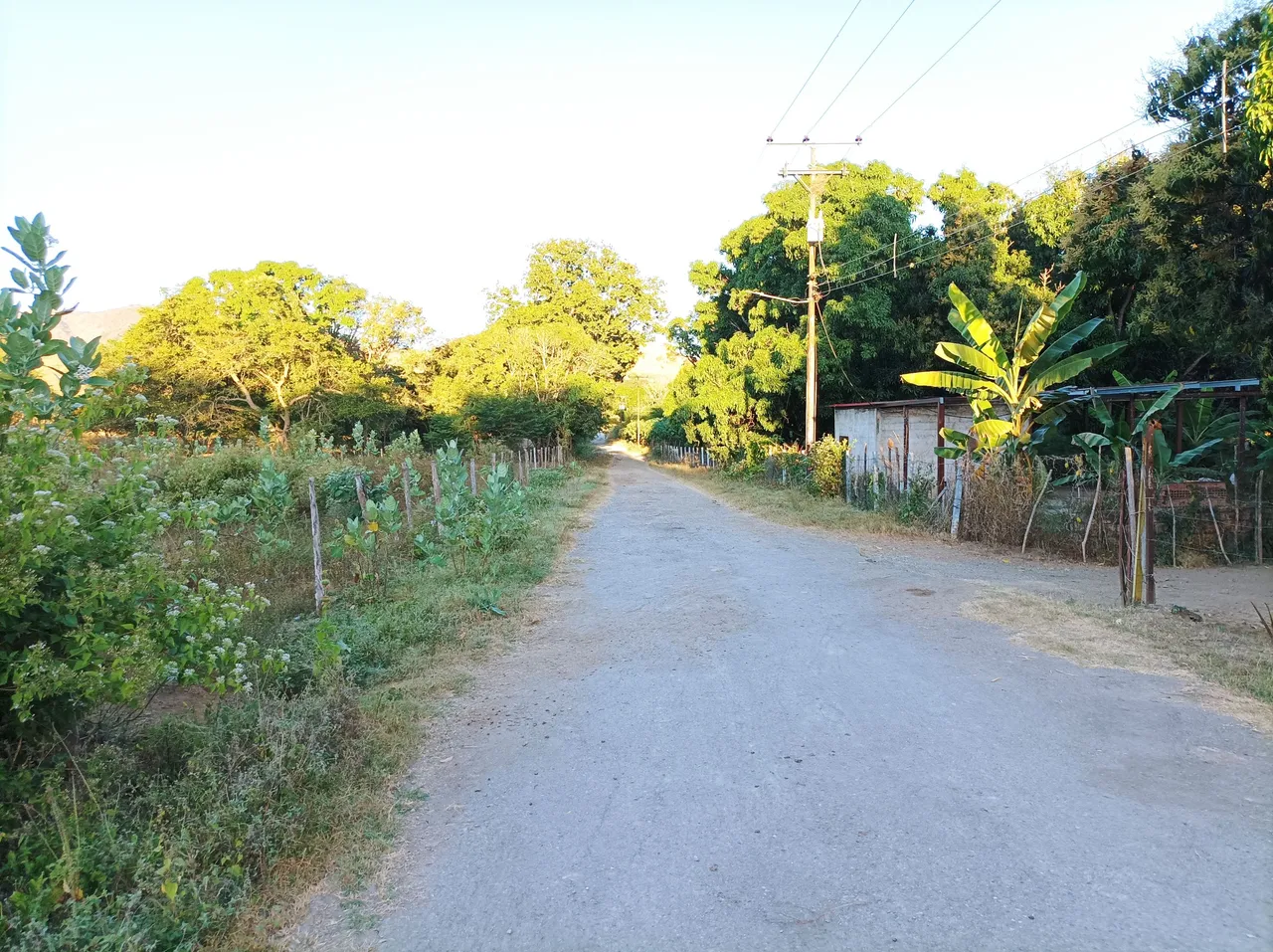 p18.jpg