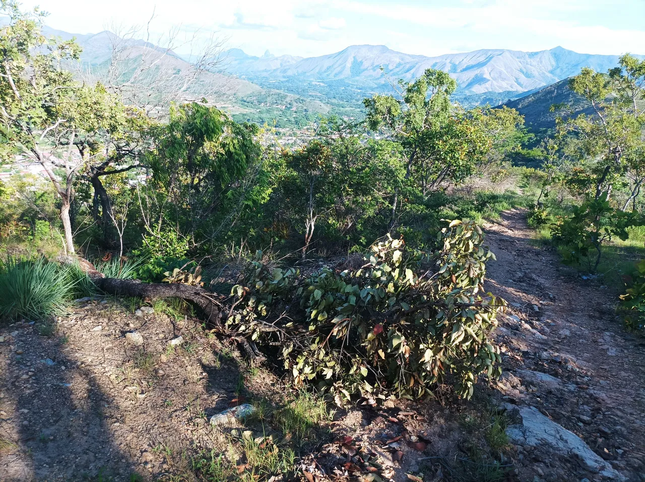 p04.jpg