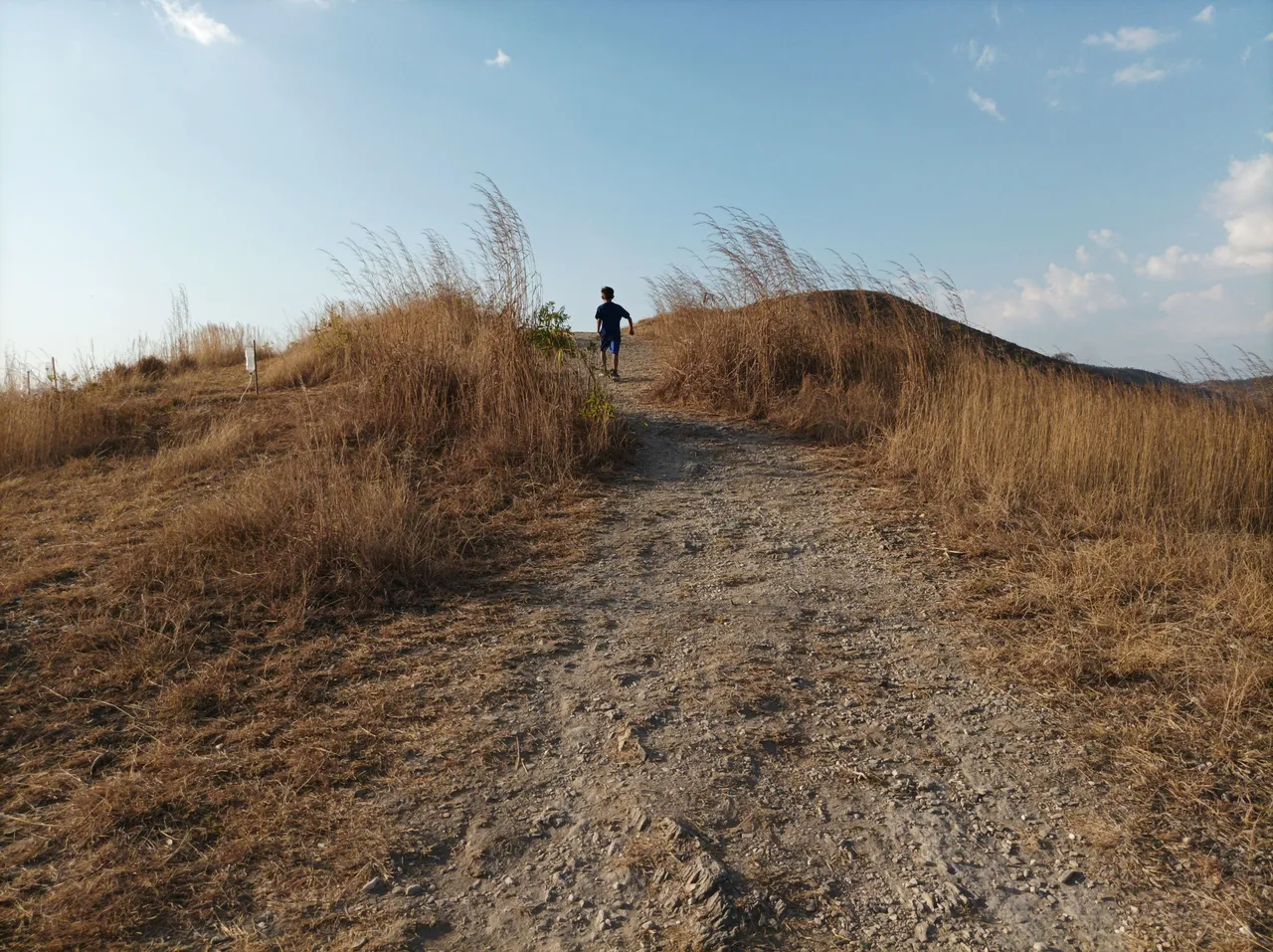 p05.jpg