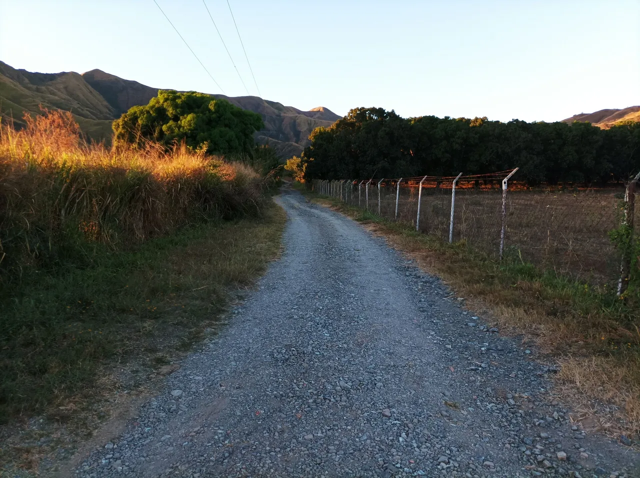 p12.jpg