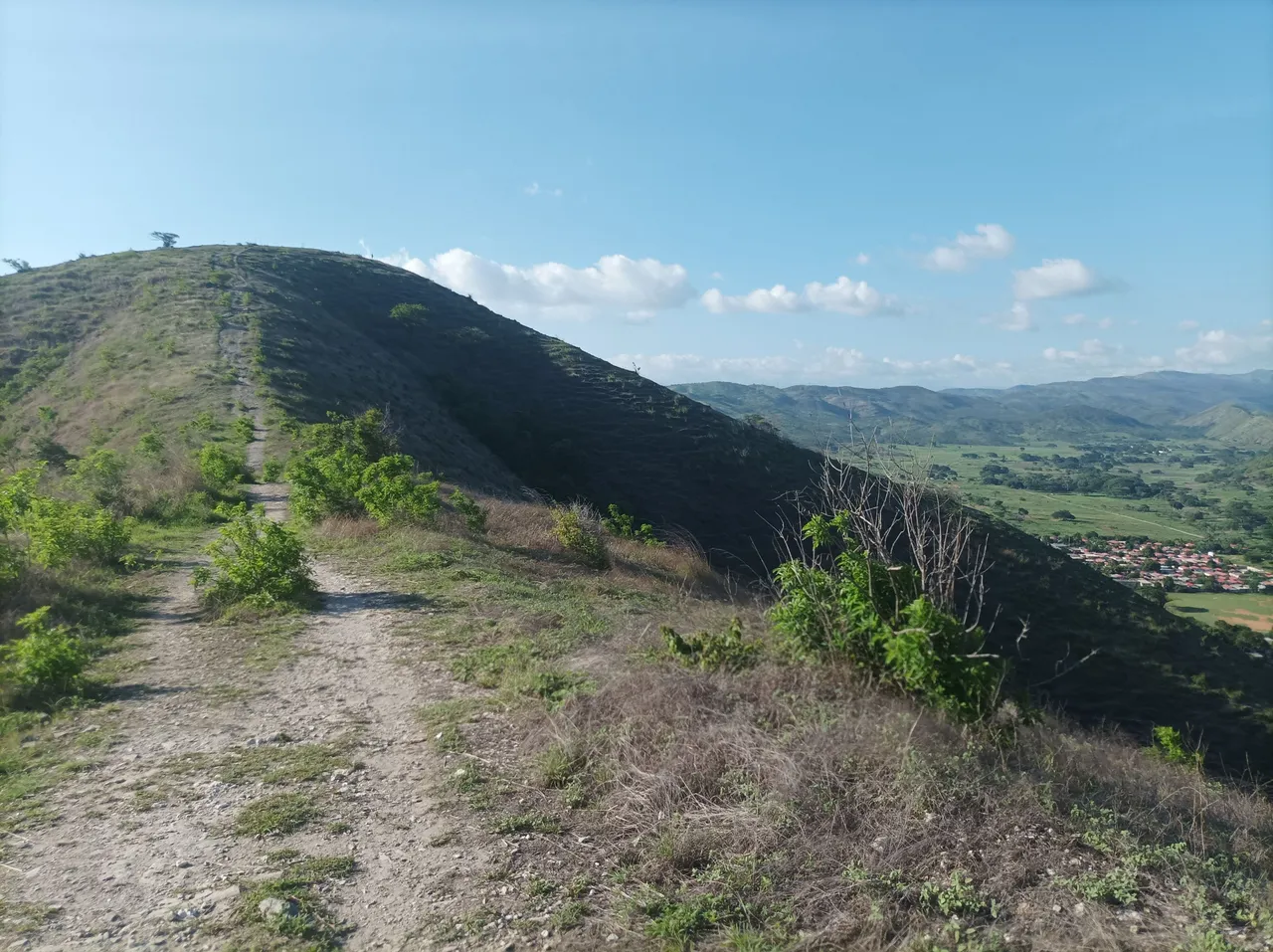 p01.jpg