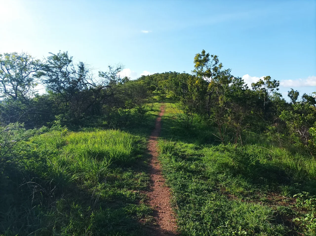 p03.jpg