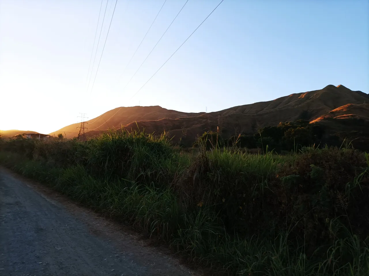 p10.jpg