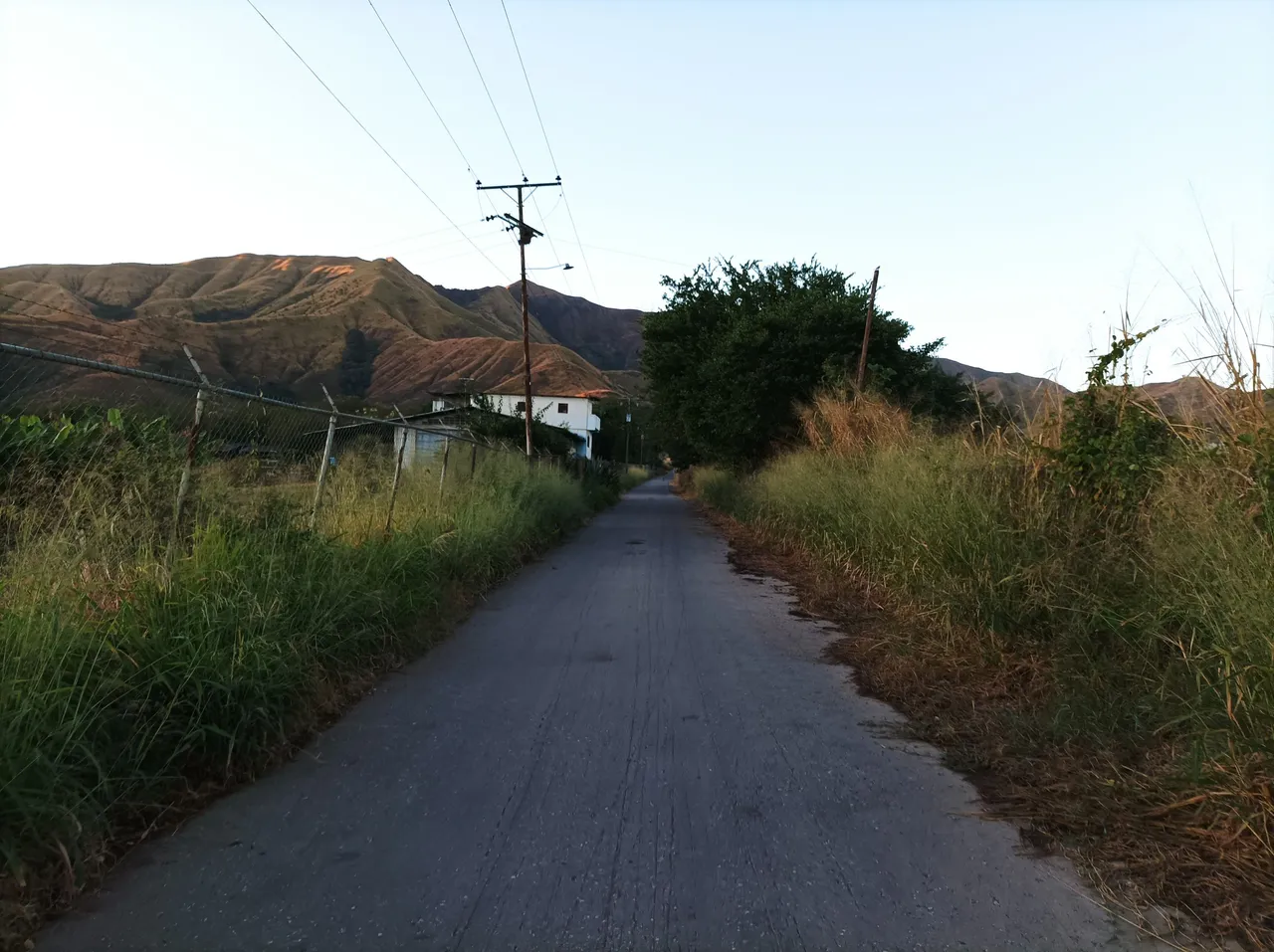 p06.jpg