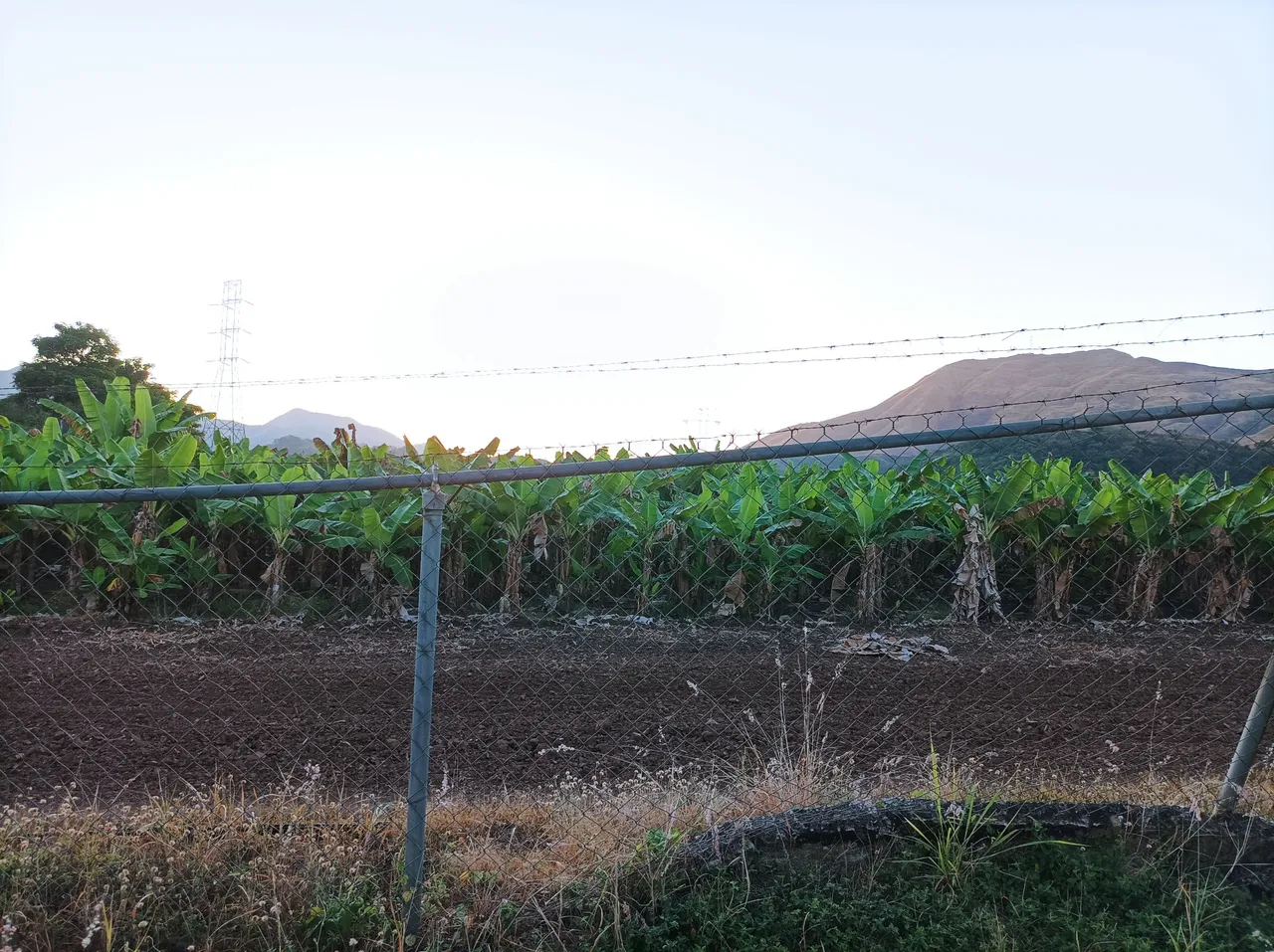 p04.jpg