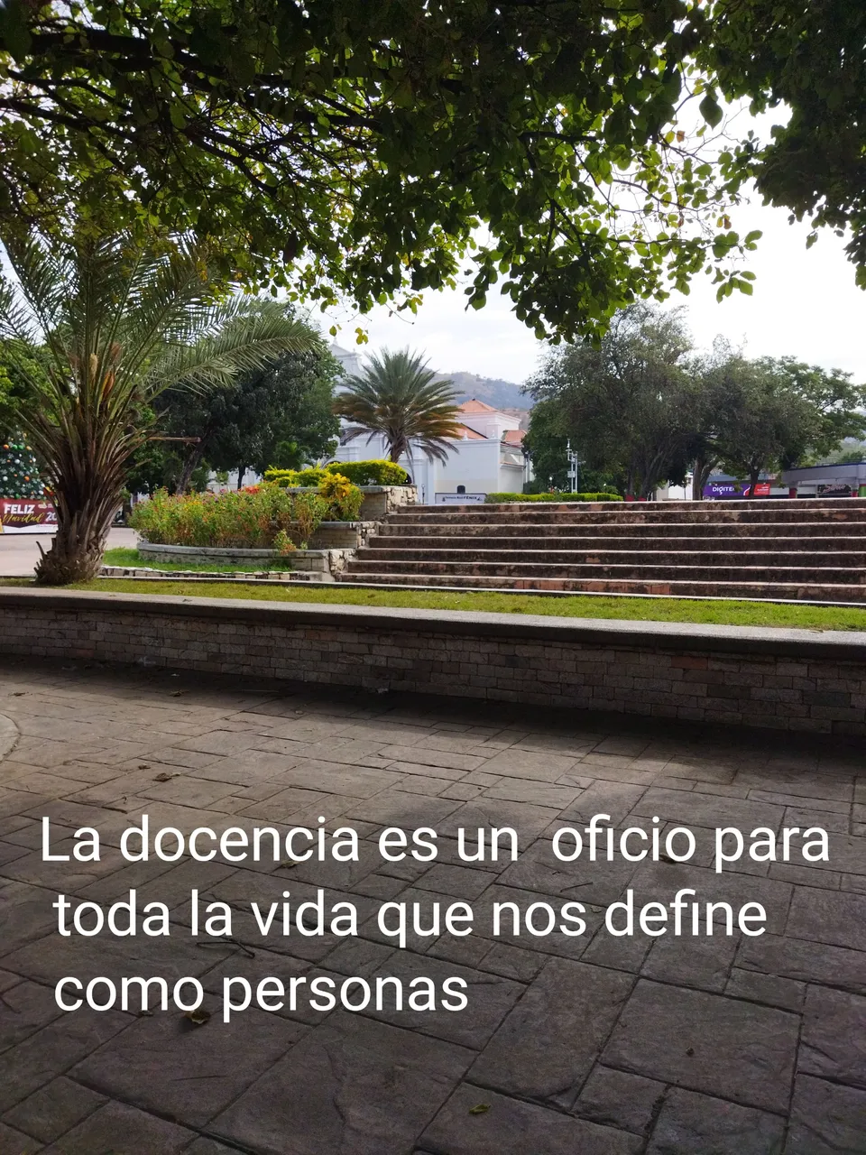 IMG_20230108_202217.jpg