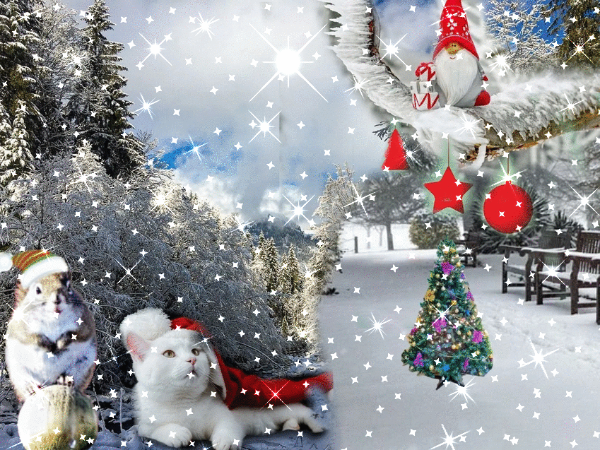 imageedit_5_9621153401.gif