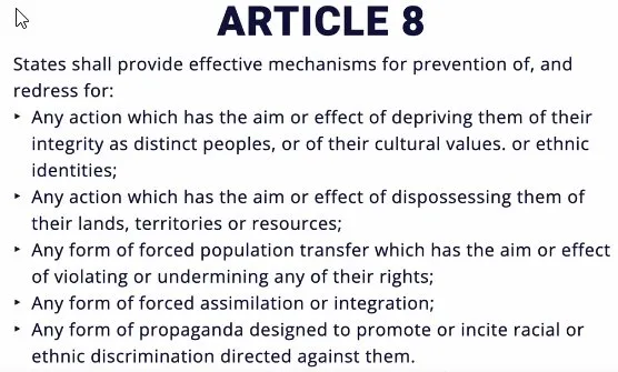 Article8.jpg