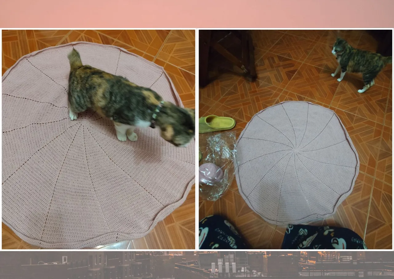 1000029797.png
