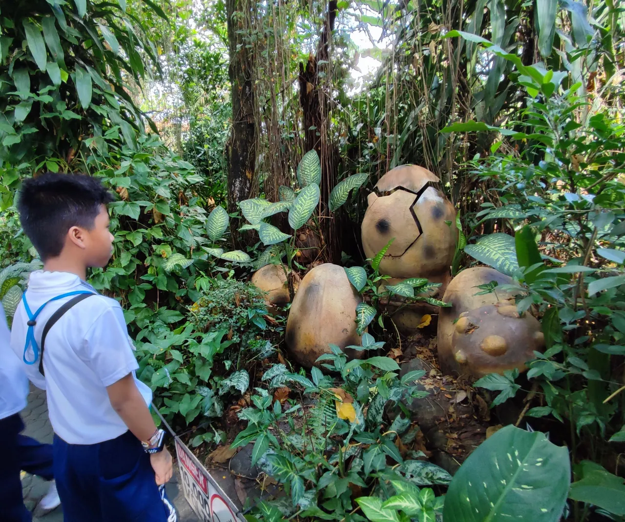 Hatching Dinosaur Eggs