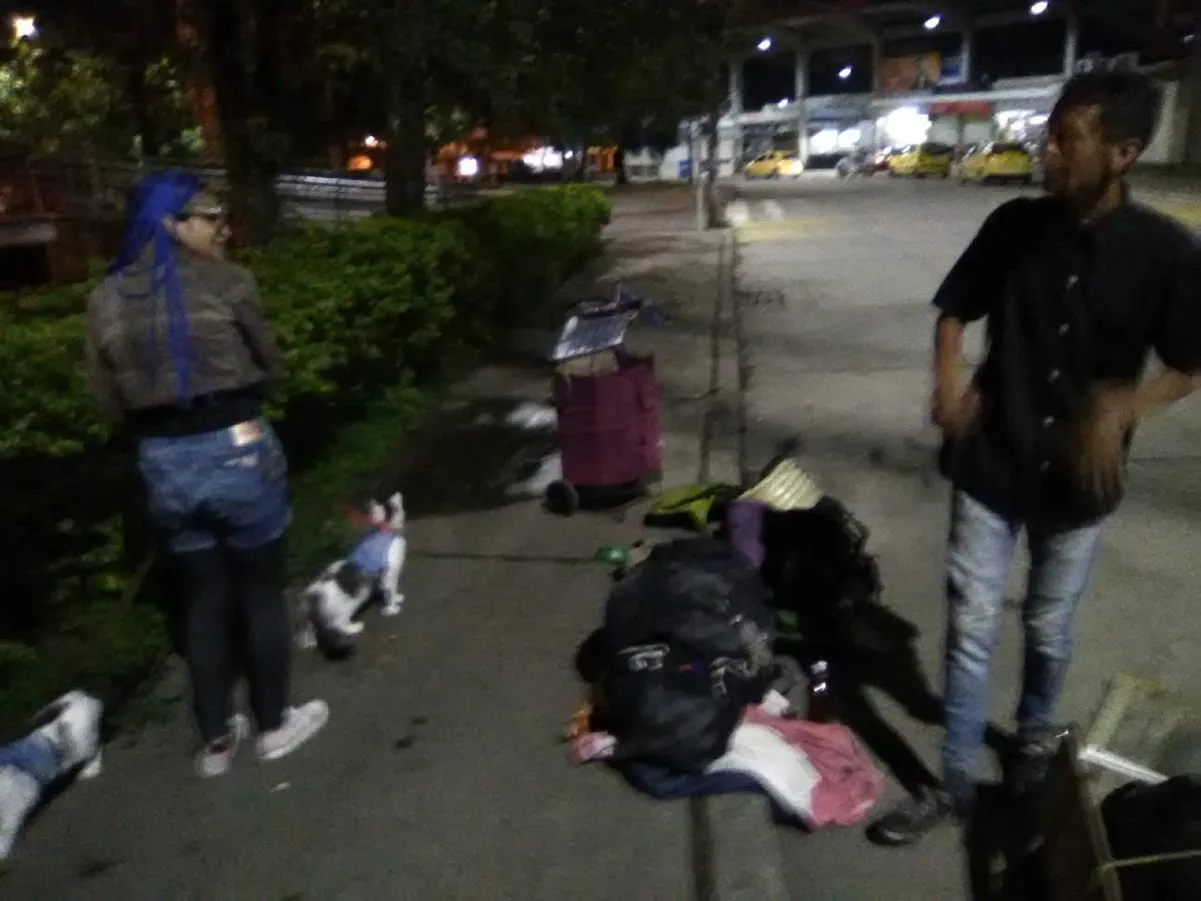 Llegando.jpg