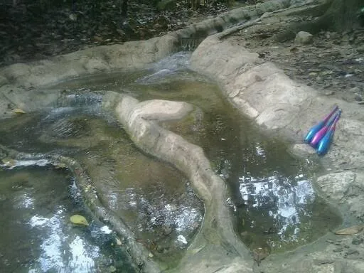 clavas bucara.jpg