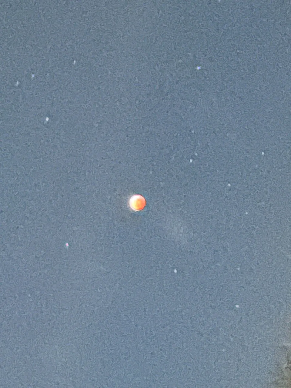 IMG_6494.jpg