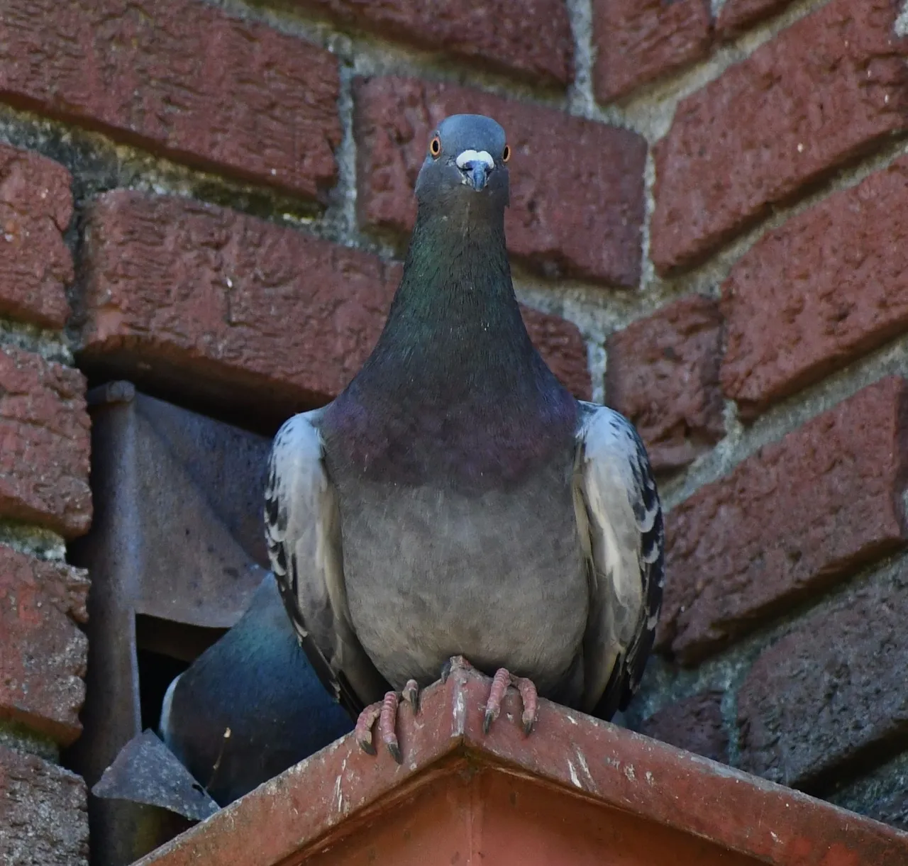 DSC_6314 1.jpg