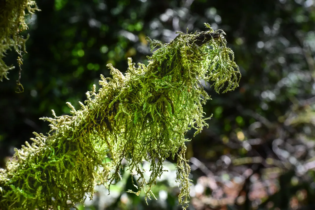 DSC_3085.JPG