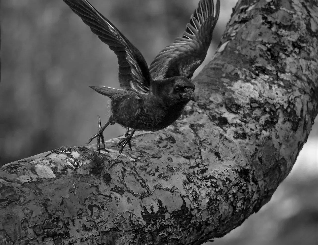 DSC_3513.JPG