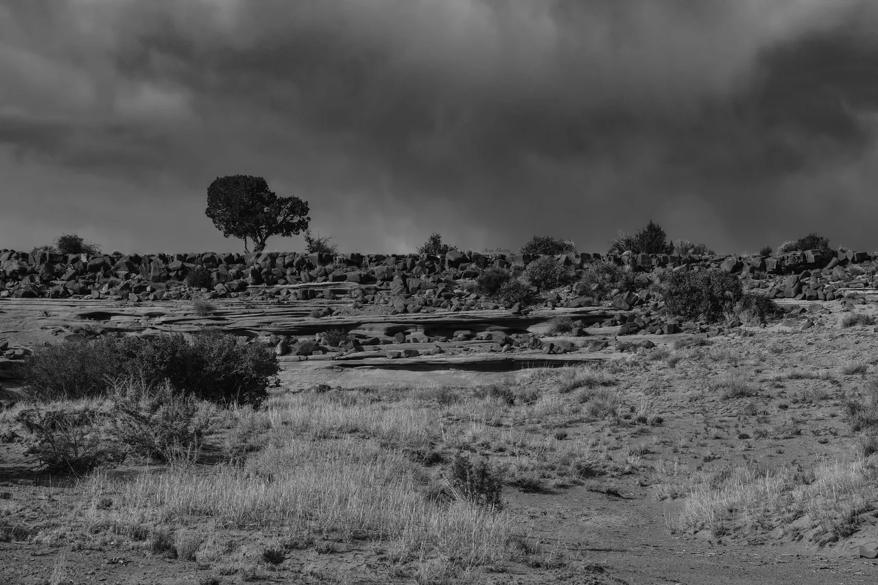 DSC_0212.JPG