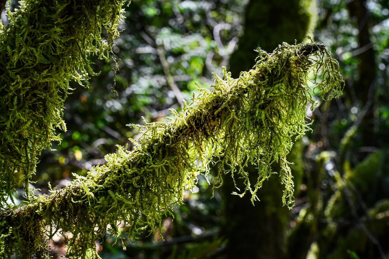 DSC_3086.JPG