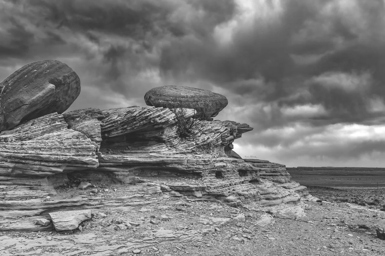 DSC_0137.JPG