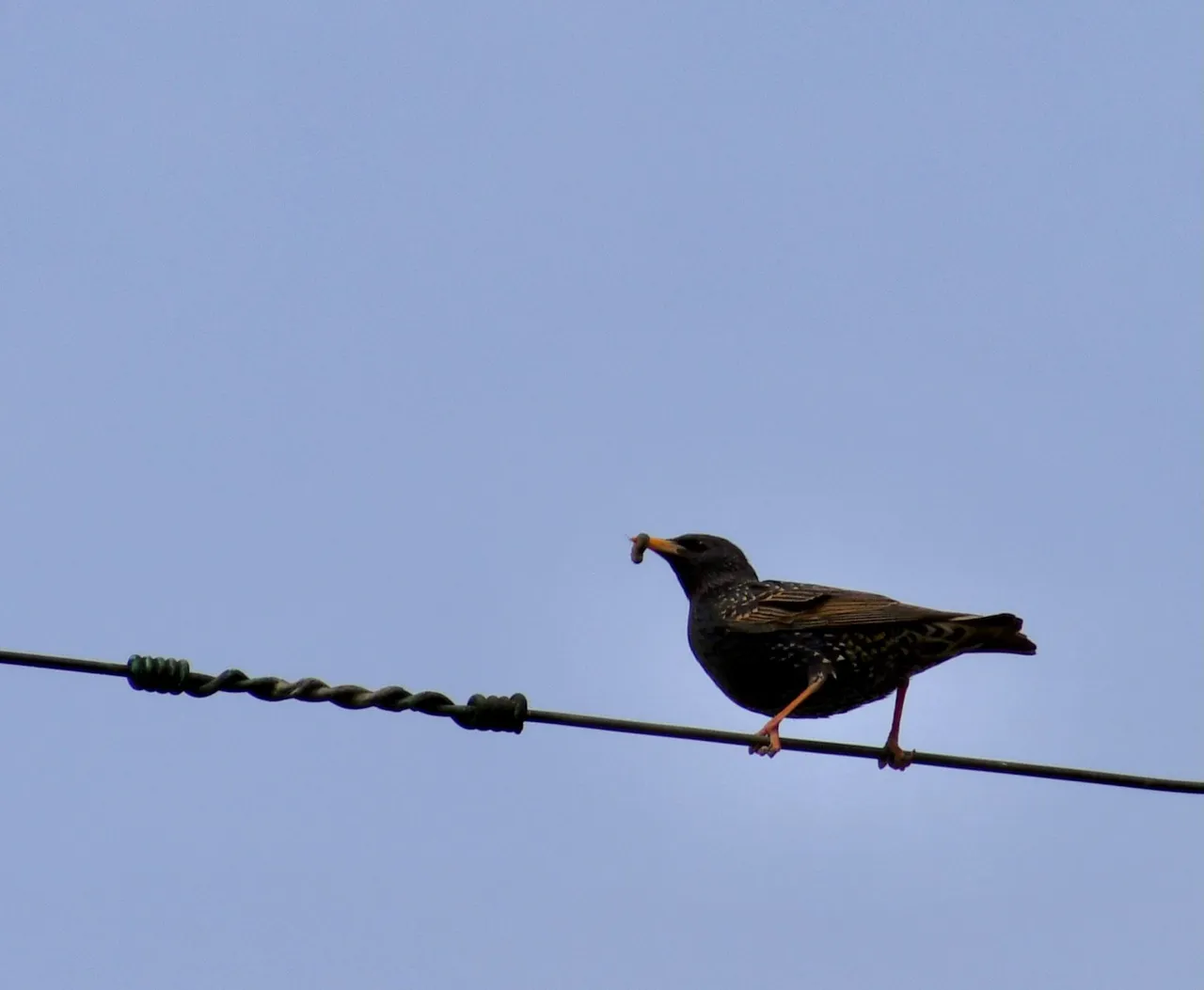 DSC_4725.jpg