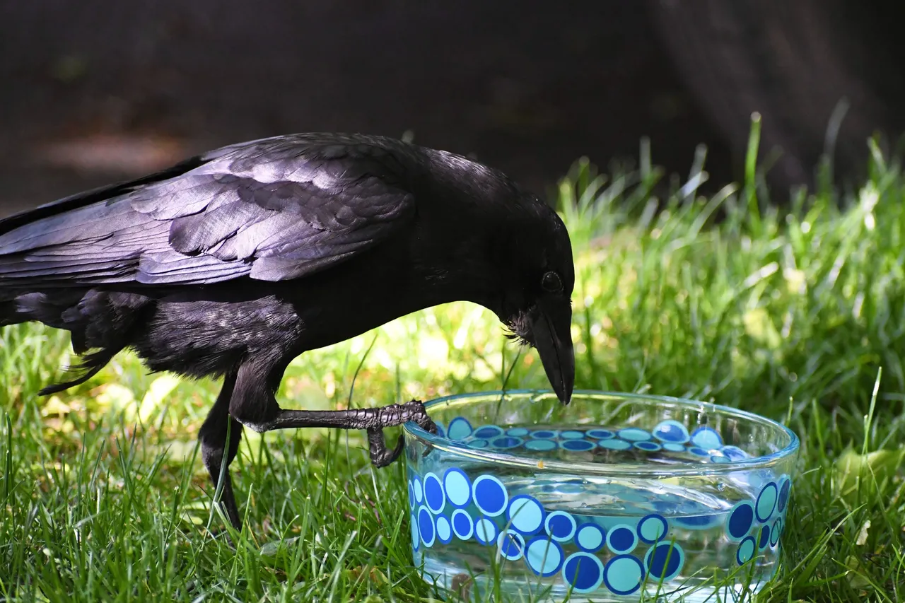 DSC_6108.jpg