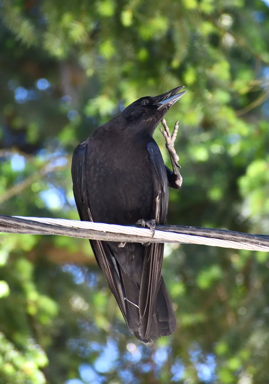 DSC_5923.jpg