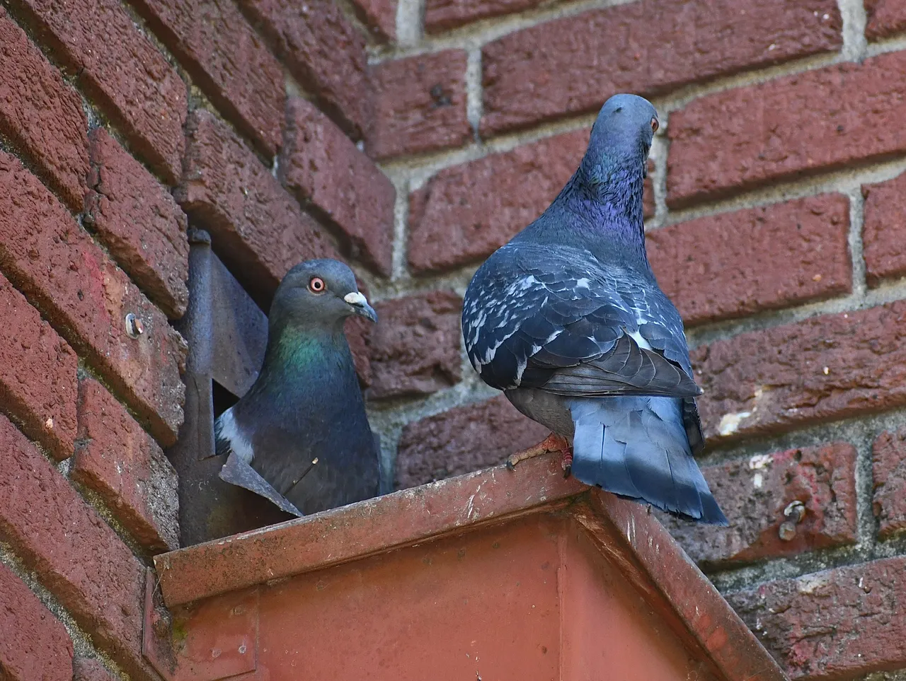 DSC_6312 1.jpg