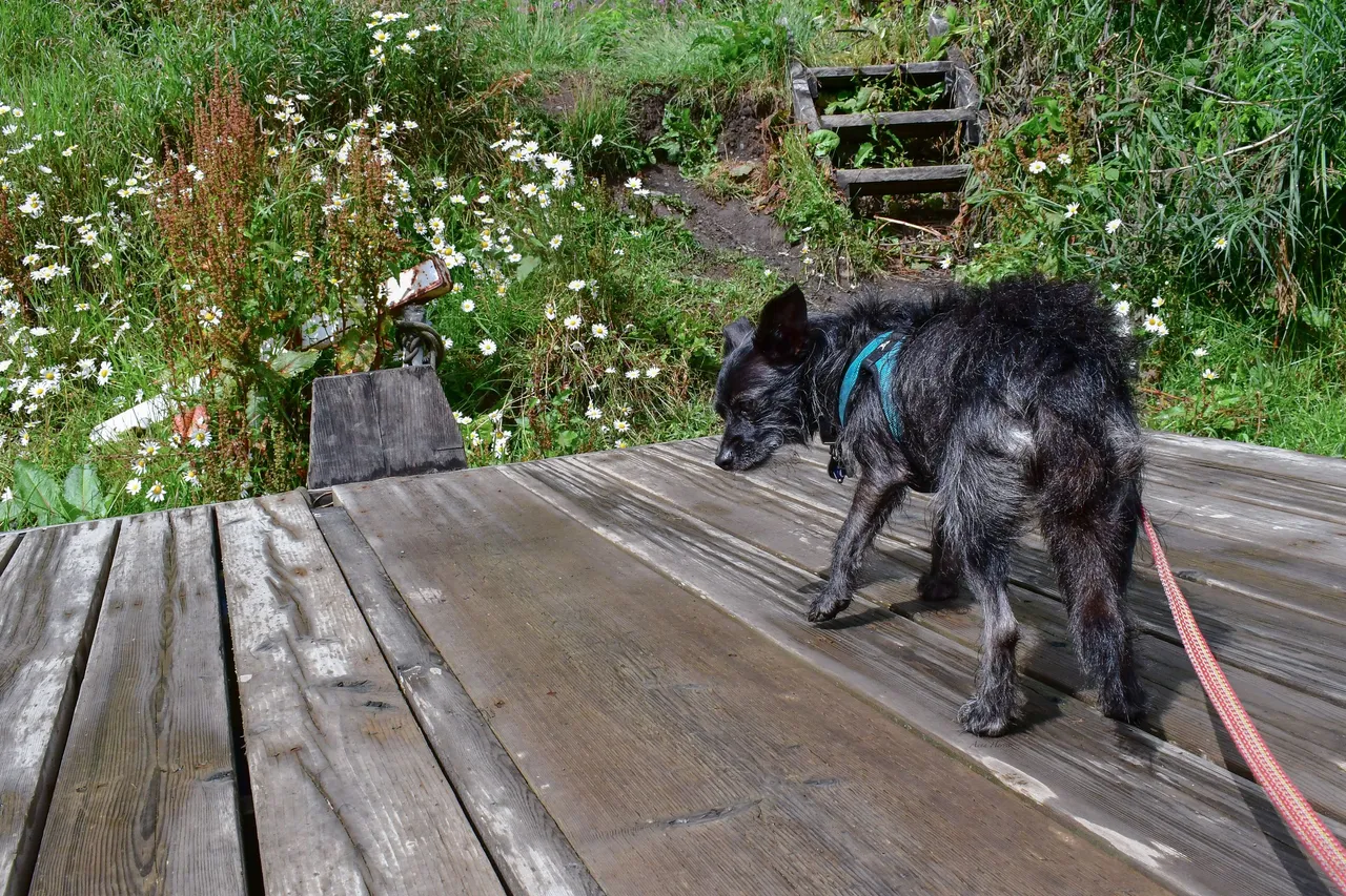 DSC_2458.JPG