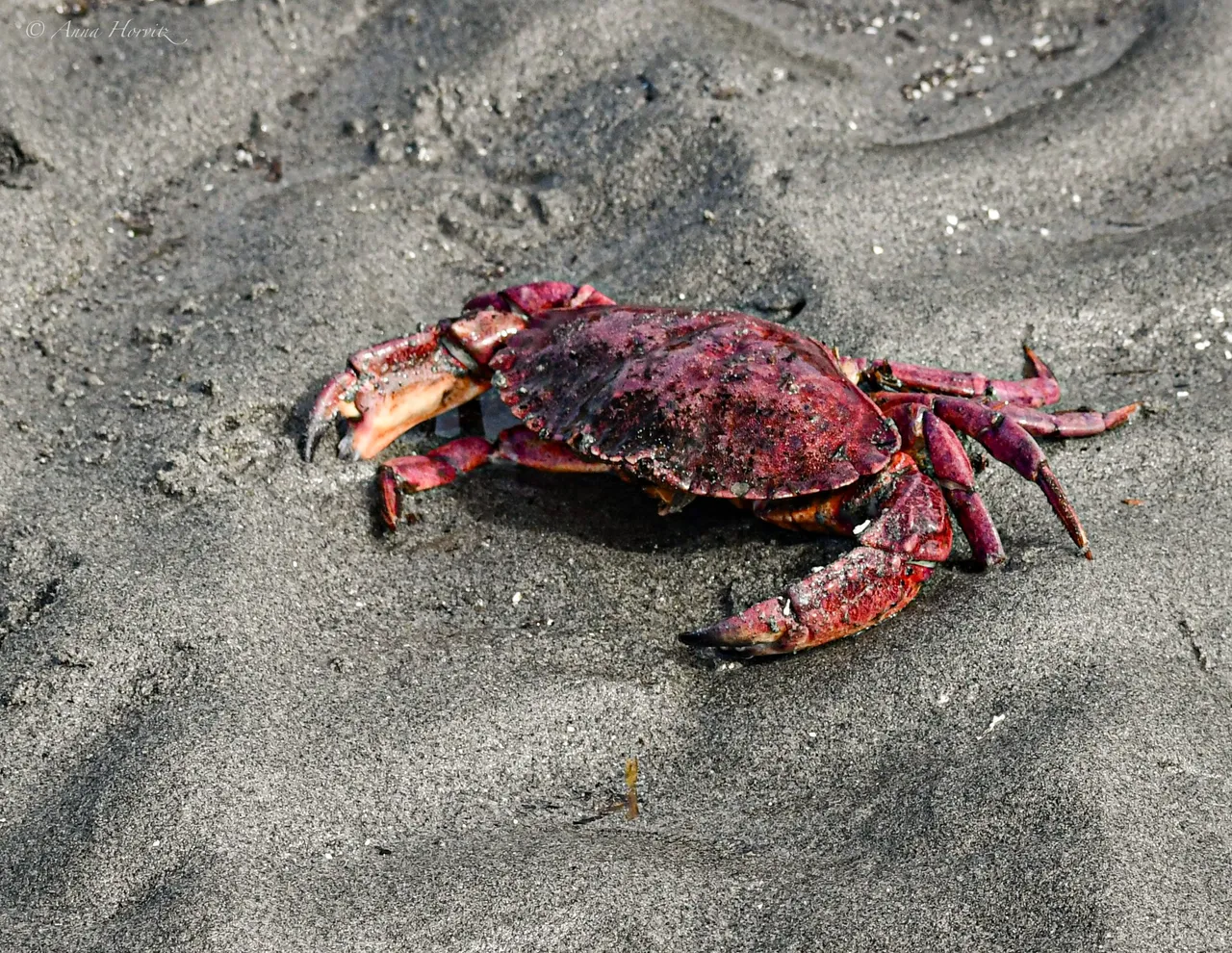 DSC_8768 1.JPG