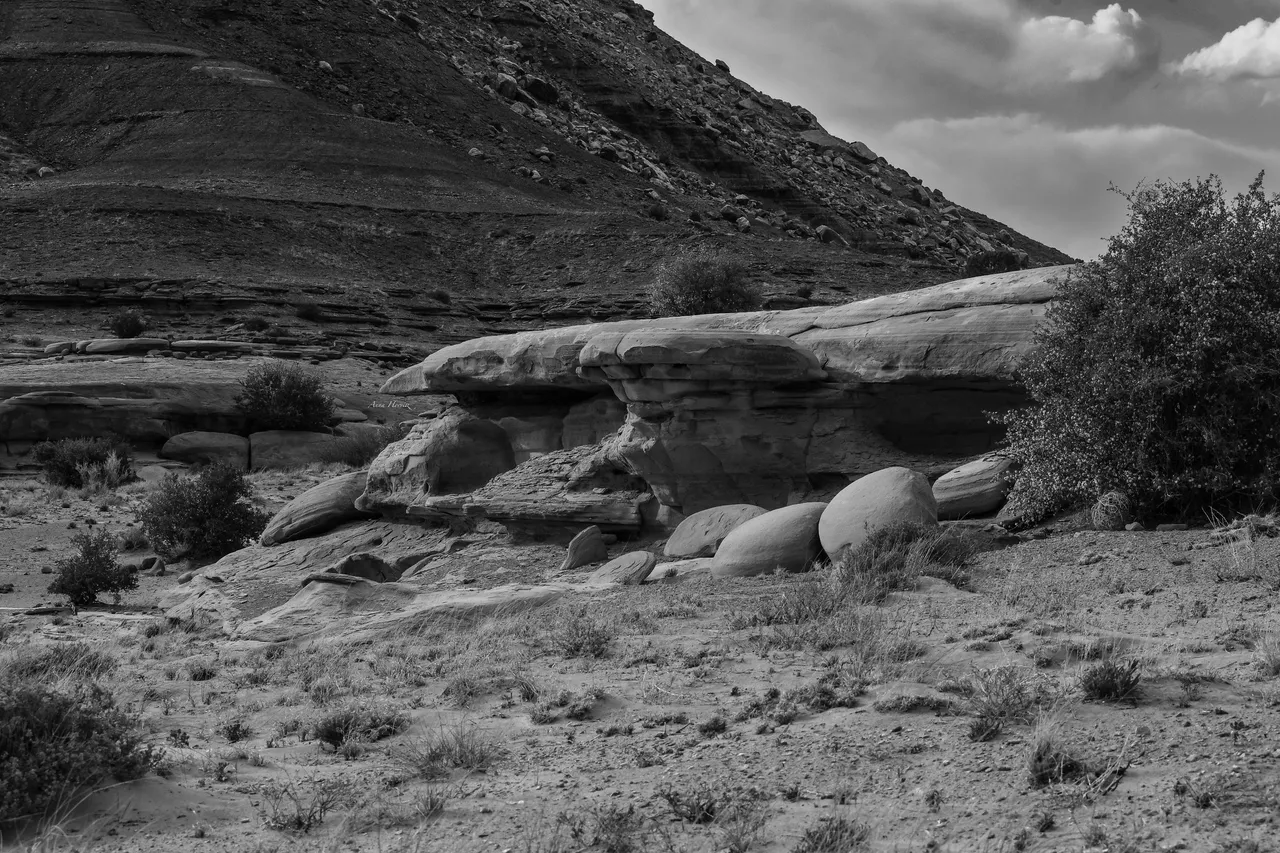 DSC_0210.JPG