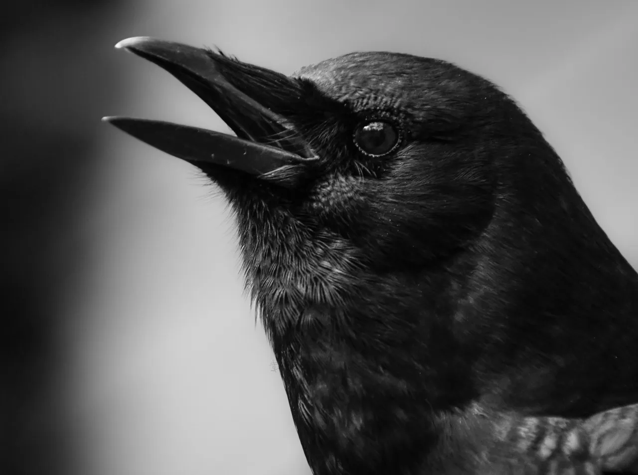 DSC_8614.JPG