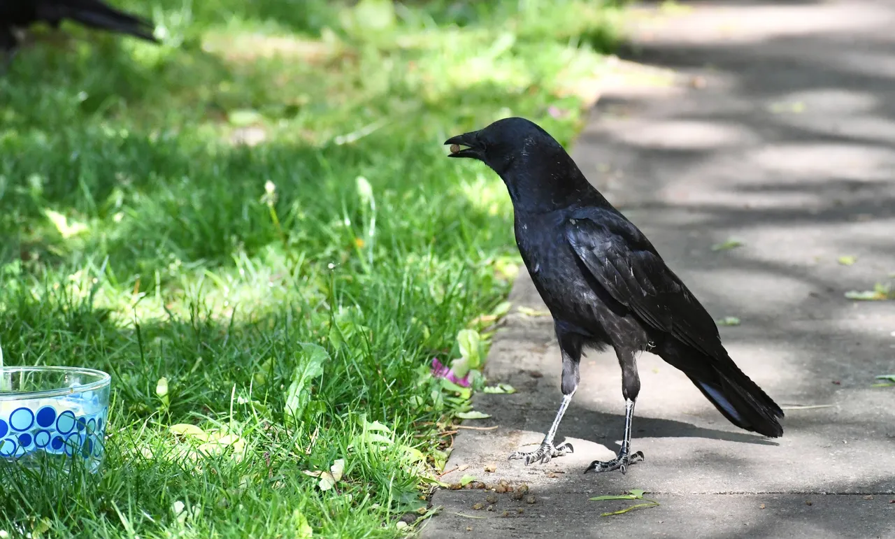DSC_6129.jpg