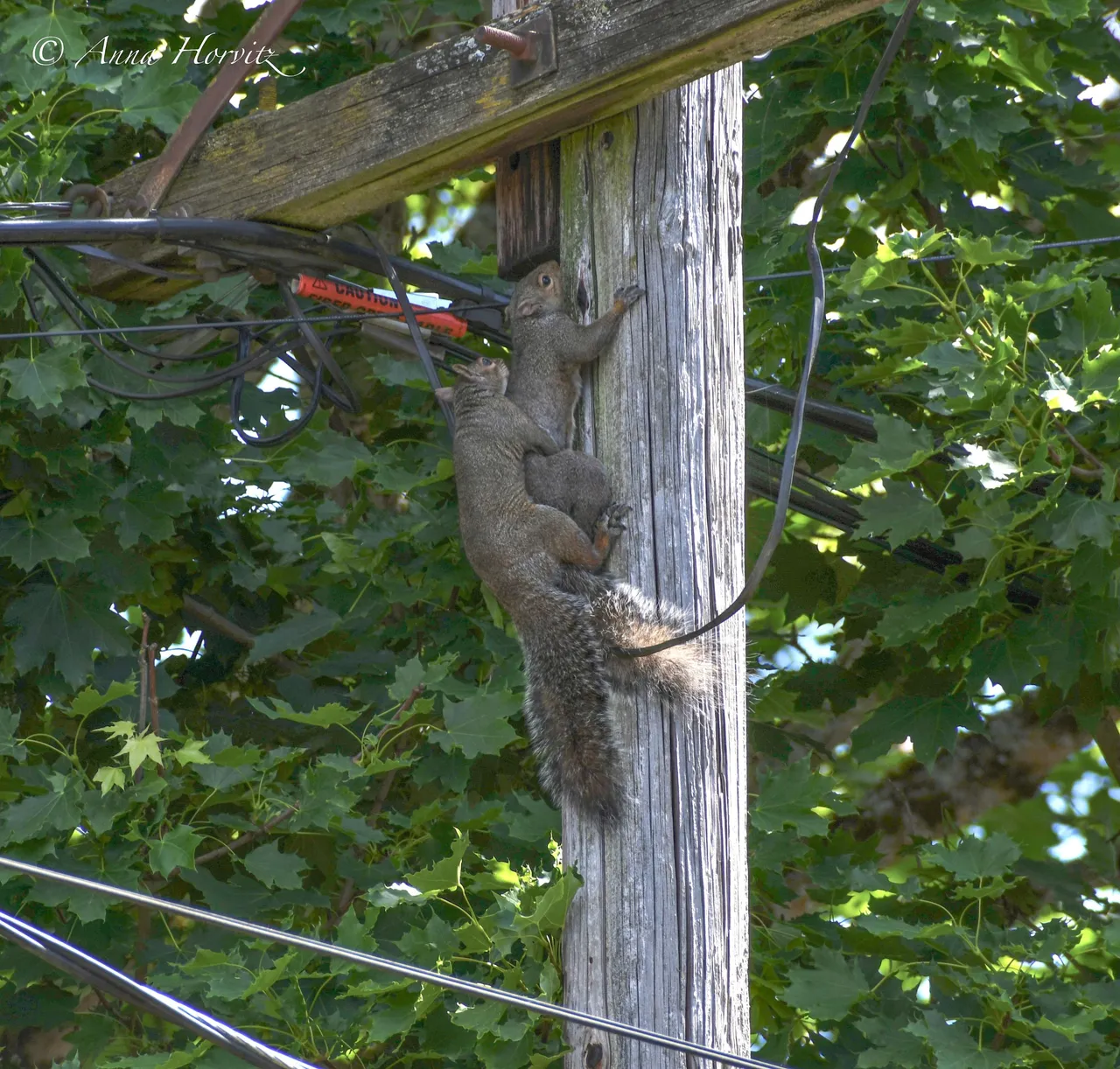 DSC_1939 1.JPG