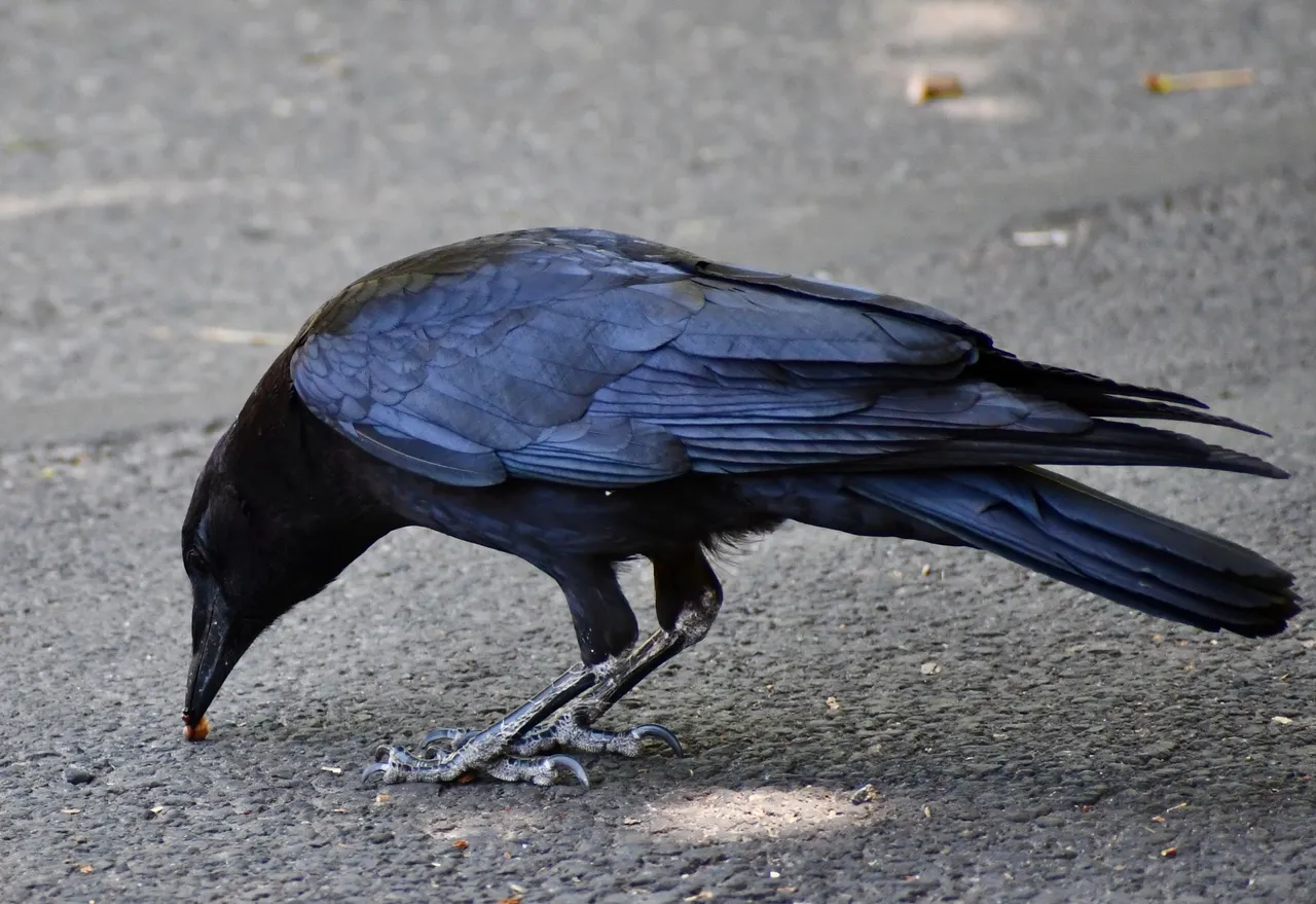 DSC_5647.jpg