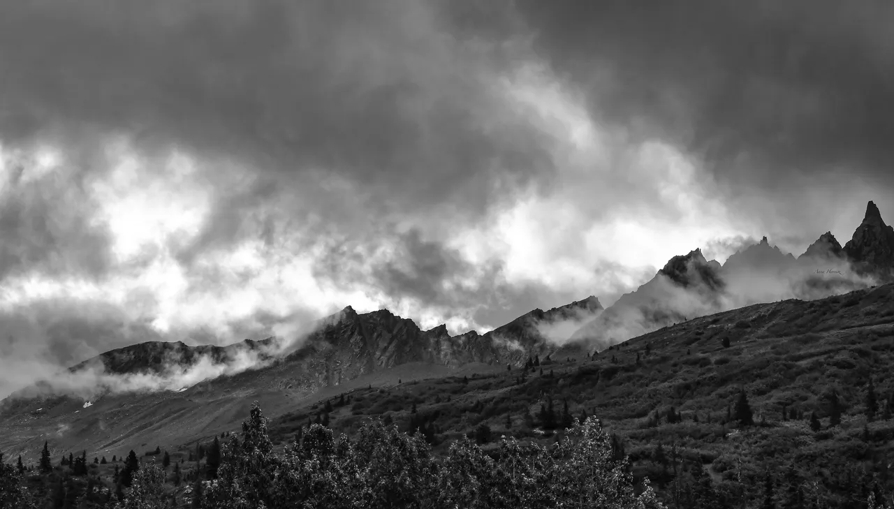 DSC_2872.JPG